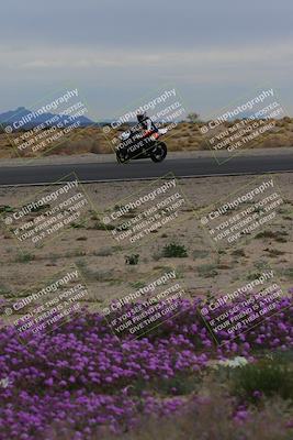 media/Jan-14-2023-SoCal Trackdays (Sat) [[497694156f]]/Turn 14 Exit Bloomig (145pm)/